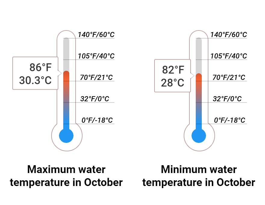 Average Sea temperature